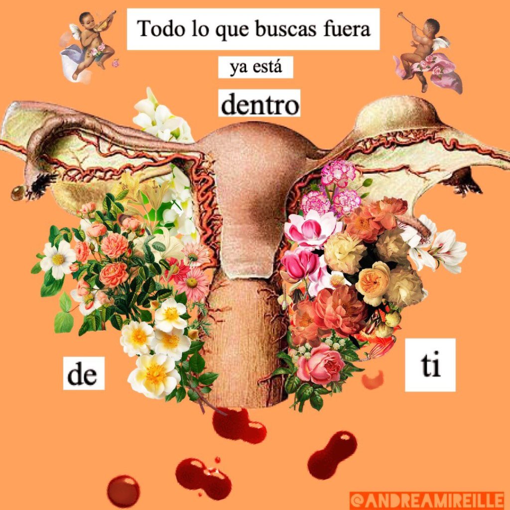 La imagen tiene un atributo ALT vacío; su nombre de archivo es vulva2.jpg