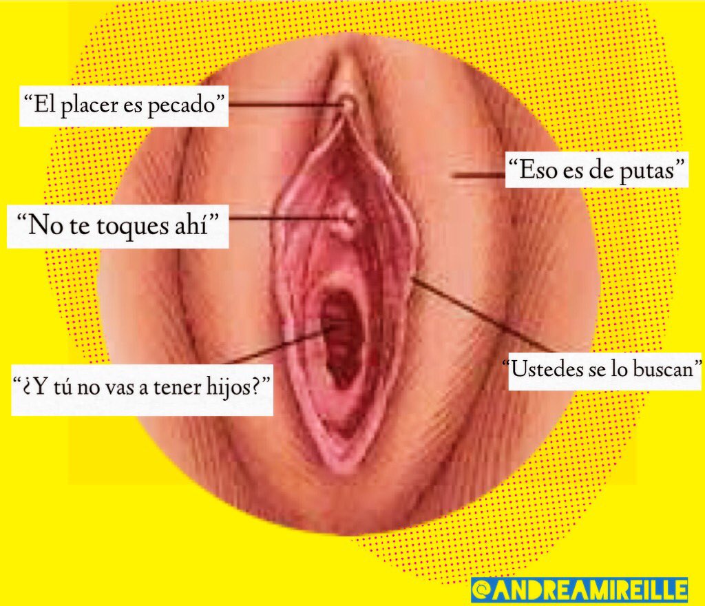 La imagen tiene un atributo ALT vacío; su nombre de archivo es vulva3.jpg